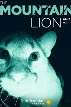 美洲狮与我
