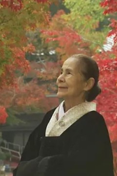 鹤子的茶道之旅