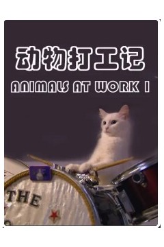 动物打工记第一季
