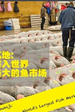 筑地：深入世界上最大的鱼市场