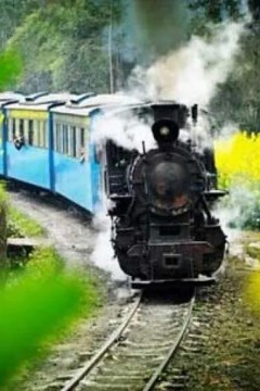 最后的蒸汽小火车