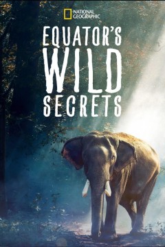 荒野之谜第四季