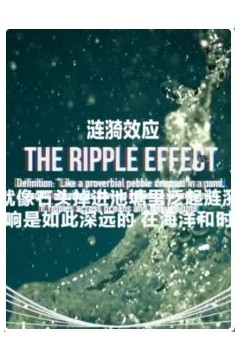 涟漪效应第二季