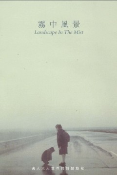 雾中风景