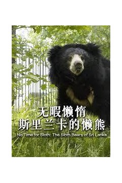 无暇懒惰-斯里兰卡的懒熊