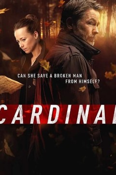 冰血缉凶第三季