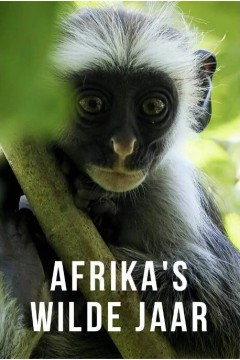 非洲的狂野之年第一季