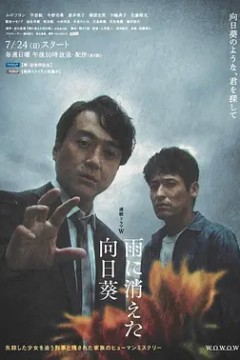 雨中消失的向日葵2022