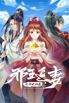 邪王追妻第三季