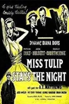 郁金香小姐过夜