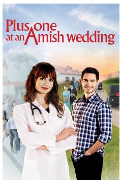 加一在阿米什婚礼上