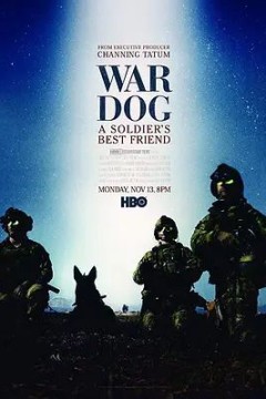 军犬：士兵最好的朋友