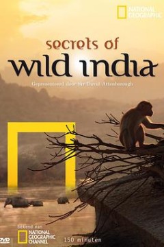 国家地理：狂野印度