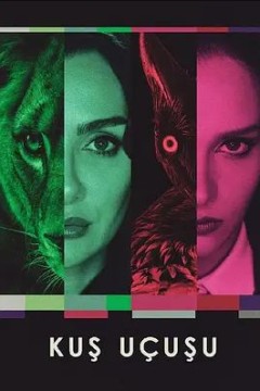 直线篡位第一季