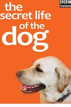 地平线系列：狗狗秘闻