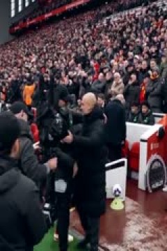 英超联赛 布莱顿VS南安普顿 20241130