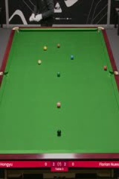 斯诺克威尔士公开赛资格赛刘宏宇3-4弗洛里安·努斯勒20250206