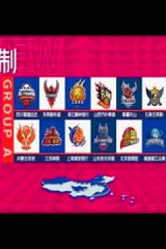 WCBA常规赛A组 东莞新彤盛VS新疆天山 20241228