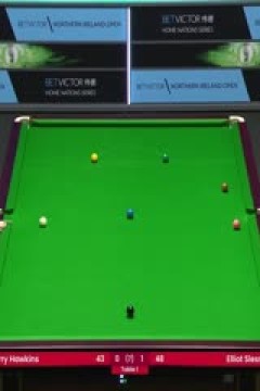 斯诺克巴里·霍金斯4-1斯莱瑟20231023(李照)
