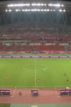 足协杯四分之一决赛 山东泰山VS河南俱乐部酒祖杜康 20240821