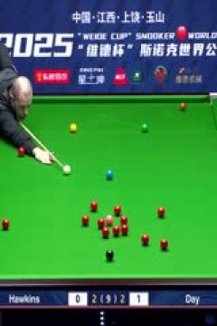 斯诺克玉山世界公开赛16进8巴里·霍金斯5-3瑞恩·戴20250226