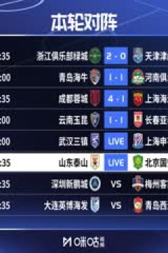 中超联赛 山东泰山VS北京国安 20250831