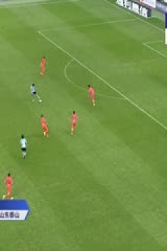 中超联赛 大连英博海发VS山东泰山 20250719