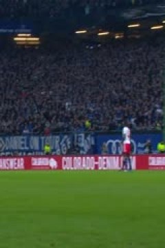 德甲联赛 法兰克福VS斯图加特 20250330