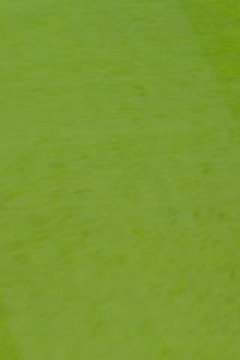 英超联赛 利物浦VS阿斯顿维拉 20251102