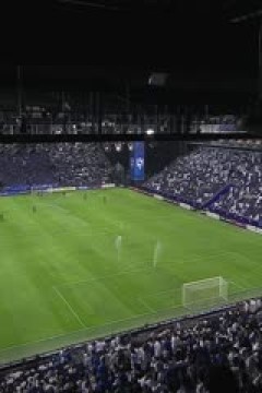 亚冠精英联赛阶段 利雅得新月VS德黑兰独立 20241105