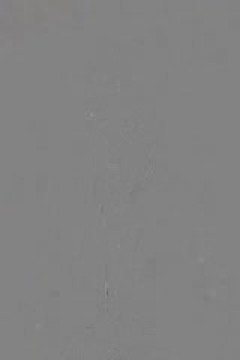 中超联赛 北京国安VS天津津门虎 20240721