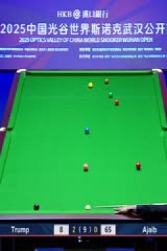 2025斯诺克武汉公开赛延期资格赛及64进32贾德·特鲁姆普5-1法拉赫·阿贾布20250824