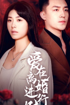 爱在离婚进行时