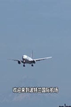 NBA常规赛 火箭VS灰熊 20251106