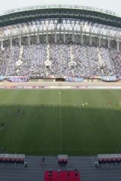 中甲联赛 石家庄功夫VS广西平果哈嘹国晶 20240406