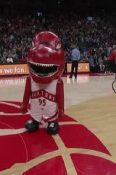 NBA常规赛 公牛VS猛龙 20241217