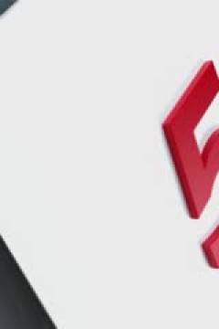 德甲联赛 沃尔夫斯堡VS多特蒙德 20241223