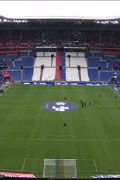 法甲联赛 里昂VS勒阿弗尔 20250316