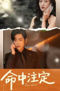 命中注定(短剧版)