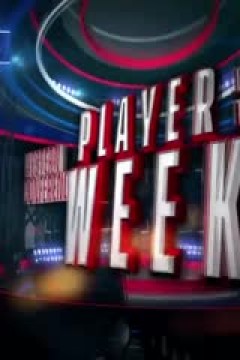 NBA常规赛 热火VS黄蜂 20241128