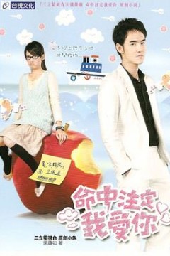 命中注定我爱你2008