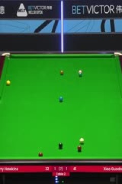 斯诺克威尔士公开赛肖国栋3-4巴里·霍金斯20240213(李照)