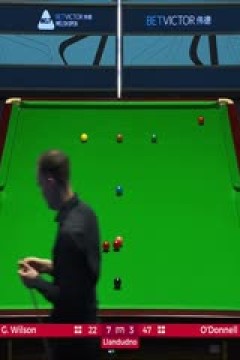 斯诺克威尔士公开赛加里·威尔逊9-4马丁·奥唐奈20240218(下)(李照)
