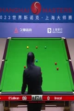 斯诺克罗尼·奥沙利文11-9卢卡·布雷切尔20230917(李照)(下)