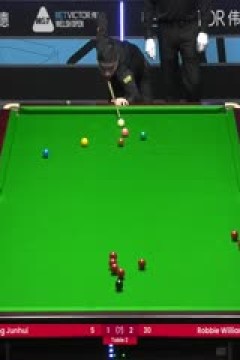 斯诺克威尔士公开赛丁俊晖2-4罗比·威廉姆斯20240213