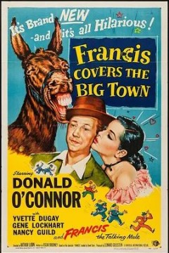 报道这个城市的弗兰西斯