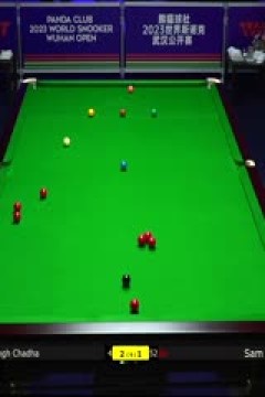 斯诺克伊·辛格·查达2-5山姆·克雷吉20231010