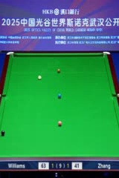 2025斯诺克武汉公开赛四分之一决赛马克·威廉姆斯5-1张安达(朱蒙)20250828