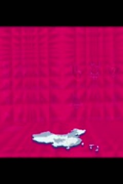 WCBA常规赛B组 河南豫光金铅VS辽宁大连体产 20241203