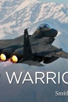 战机：空中勇士第三季